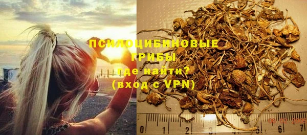 молекула духа Алексин
