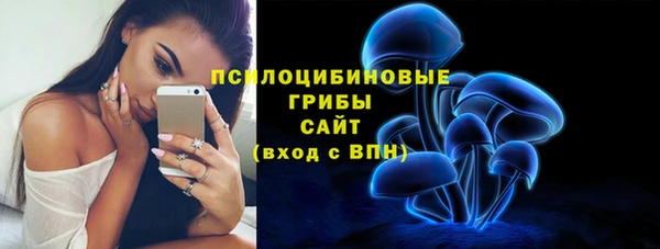 соль ск Алексеевка