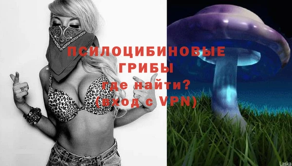 молекула духа Алексин