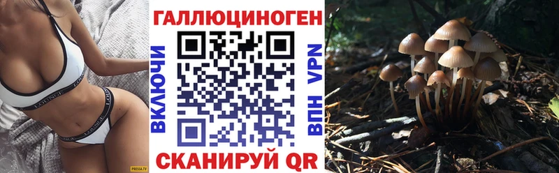 Галлюциногенные грибы Psilocybine cubensis  Новотитаровская 